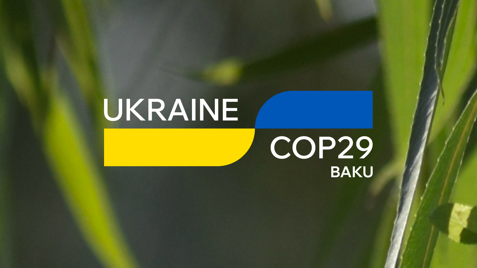 Ukraine at COP29 Baku